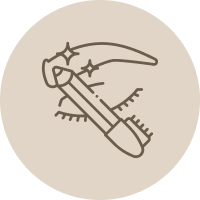 Icono